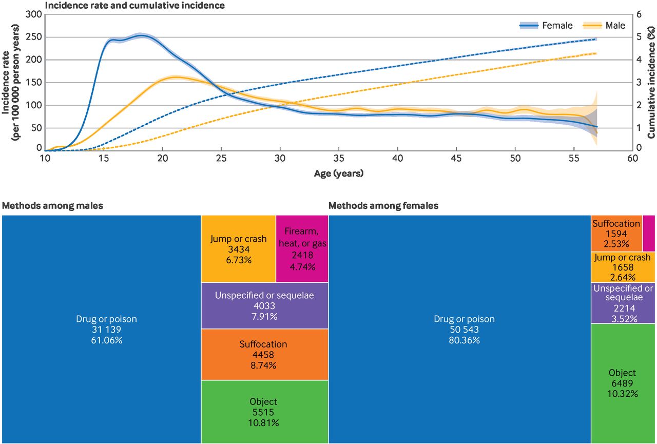 Risk factors, impact, and healthcare use related to initial suicide ...