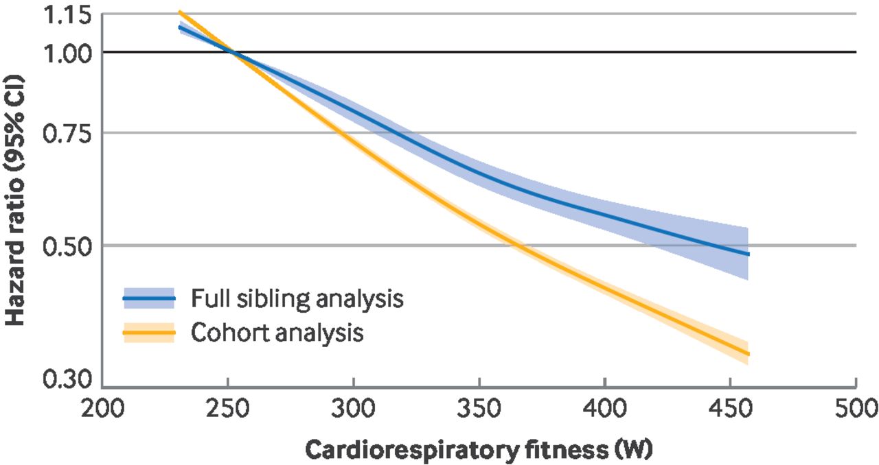 Cardiorespiratory fitness in adolescence and risk of type 2